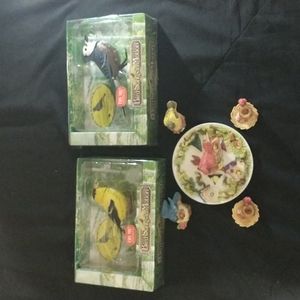 Bird collector Bundle